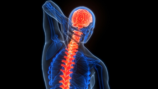 Traumatic Brain or Spinal Cord Injuries