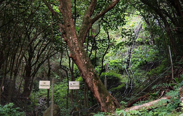 Stairway to Heaven,' or Dangerous Nuisance? A Hawaii Landmark Is